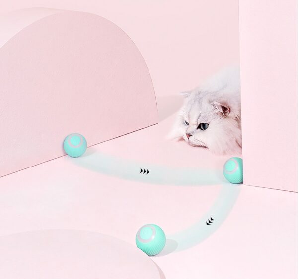Cat Gravity Intelligent Rolling Ball - Image 3