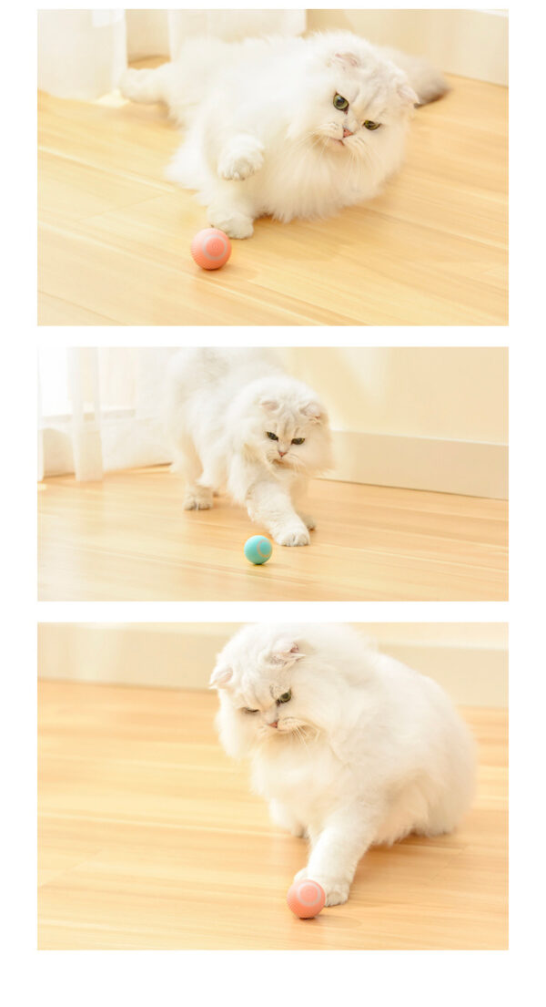 Cat Gravity Intelligent Rolling Ball - Image 7